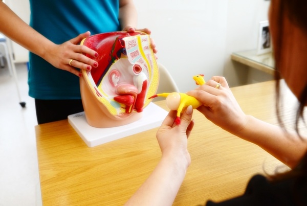 Zdj. 3. Wizualizacja z użyciem “POP QRKI” (skrót pochodzi od POP Q - tj. Pelvic Organ Prolaps Quantification). Możliwy stan mięśni dna miednicy oraz narządów miednicy mniejszej w przypadku nieprawidłowo prowadzonego treningu poporodowego
